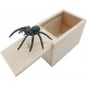 Spider in Box